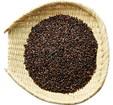 業務用丸粒麦茶